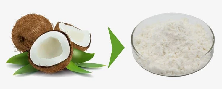 Coconut Milk Powder Wholesale 1