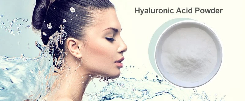 Hyaluronic Acid Powder