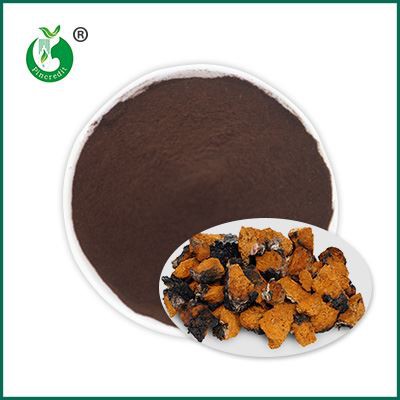 Powdr Echdynnu Chaga