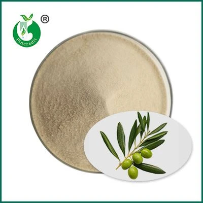 Powdwr hydroxytyrosol