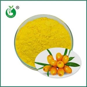 Priodweddau, Defnyddiau a Phroses Gynhyrchu Powdwr Sudd Seabuckthorn
