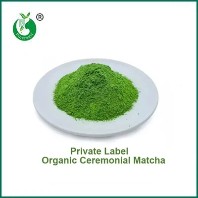 Beth Yw'r Gwahaniaeth Rhwng Powdwr Matcha a Powdwr Te Gwyrdd?