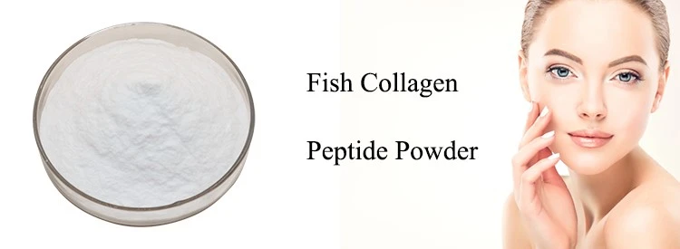 Fish Collagen Peptide Powder 3