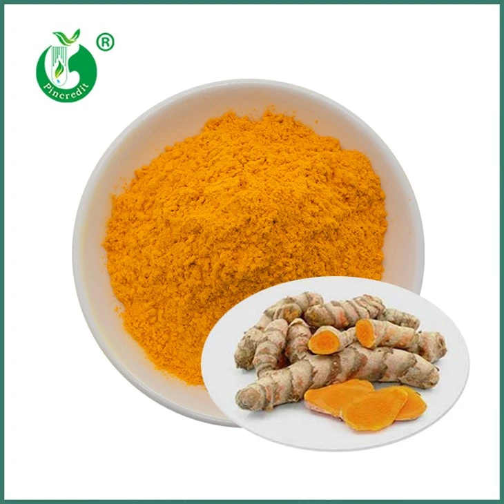 Powdr Echdynnu Curcumin