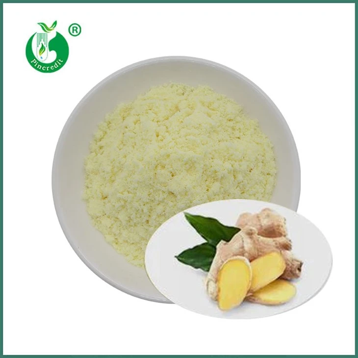 Powdr Gingerol
