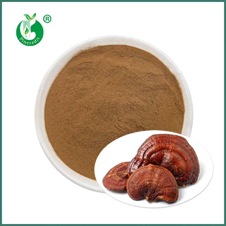 Powdr Echdynnu Reishi